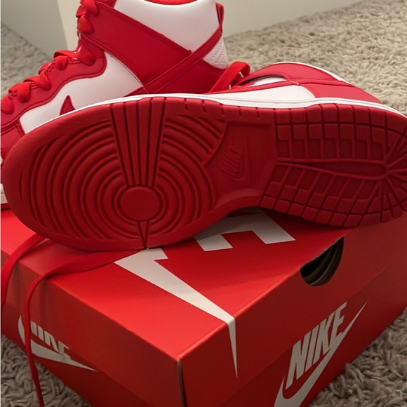 Nike Other - BRAND NEW Nike Dunks High Top